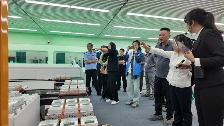 智能電表如何“體檢”<strong></p>
<p>智能電表
</strong>？“體驗官”帶你探索“體檢中心”:智能電表
